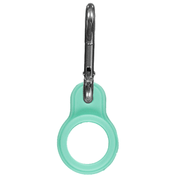 Chilly's Bottle Carabiner Pastel Green